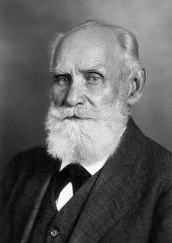 Iván Pávlov — Imagen principal