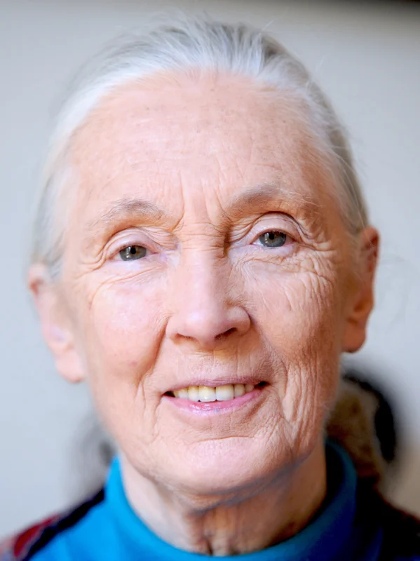 Jane Goodall — Imagen principal