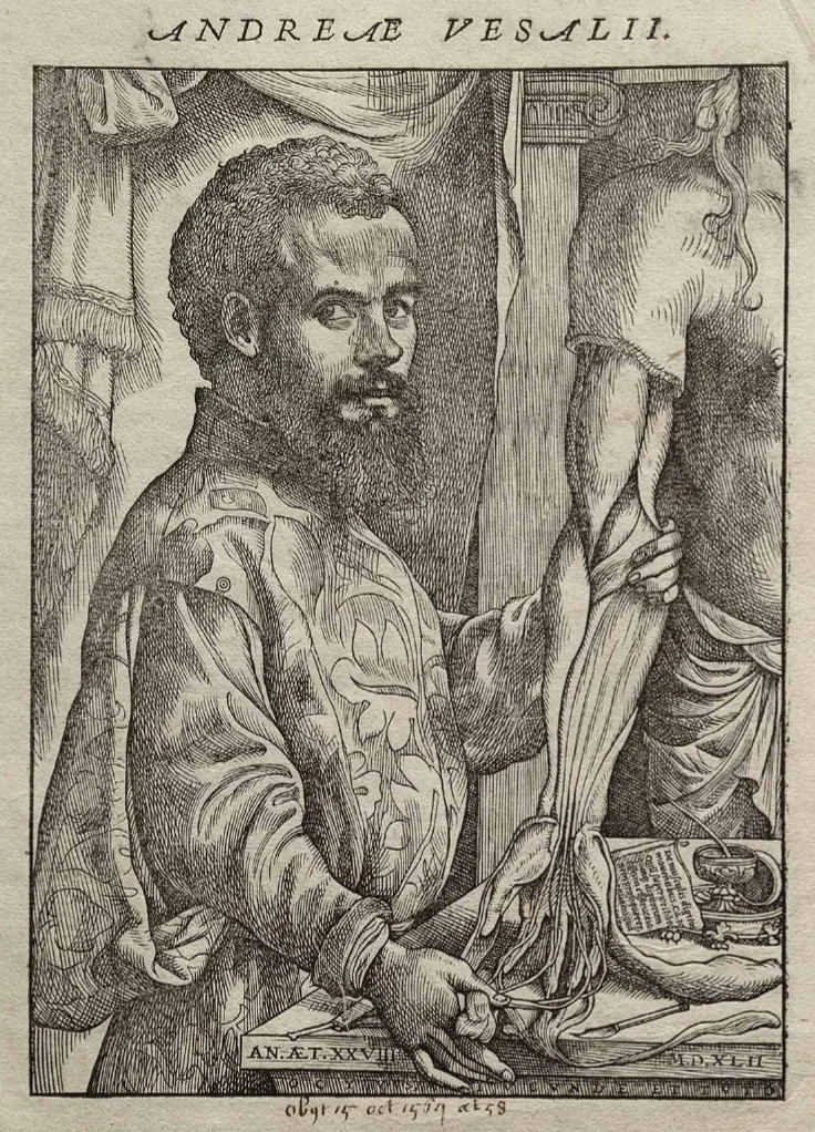 Andrés Vesalio — Imagen principal