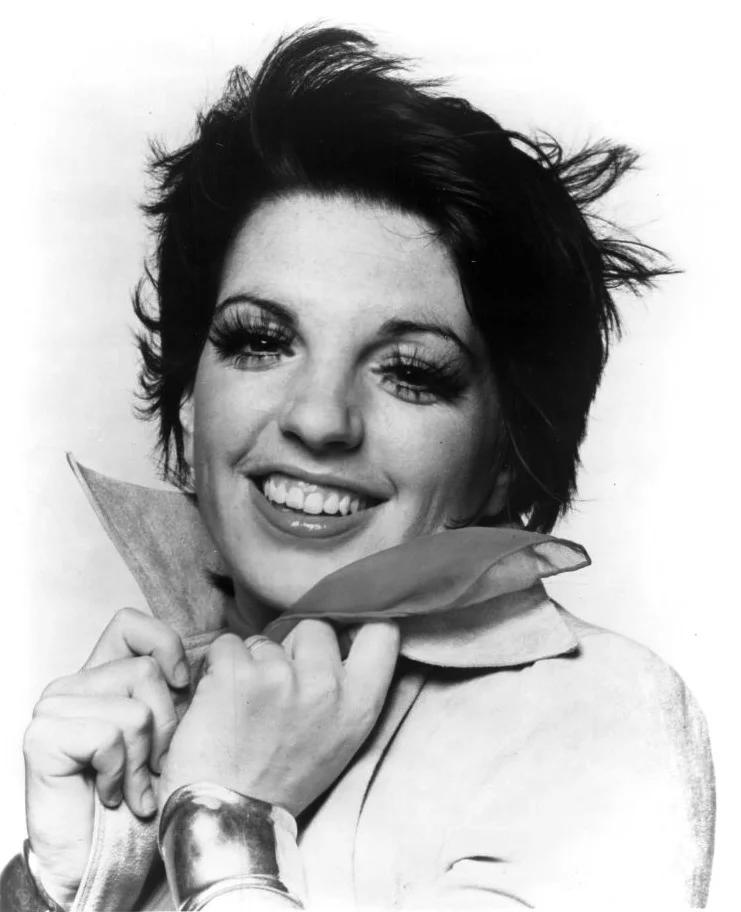 Liza Minnelli — Imagen principal