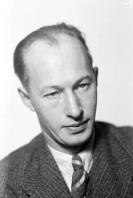Eyvind Johnson — Imagen principal