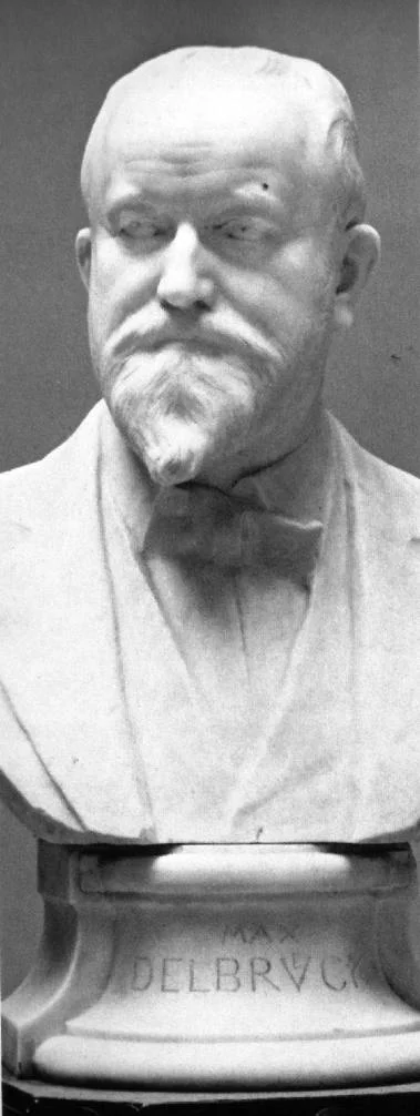 Max Delbrück — Imagen principal
