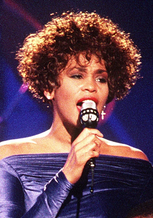 Whitney Houston — Imagen principal
