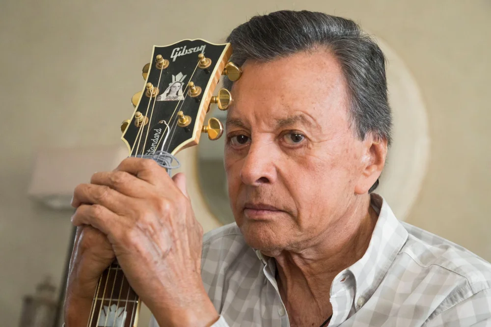 Palito Ortega — Imagen principal