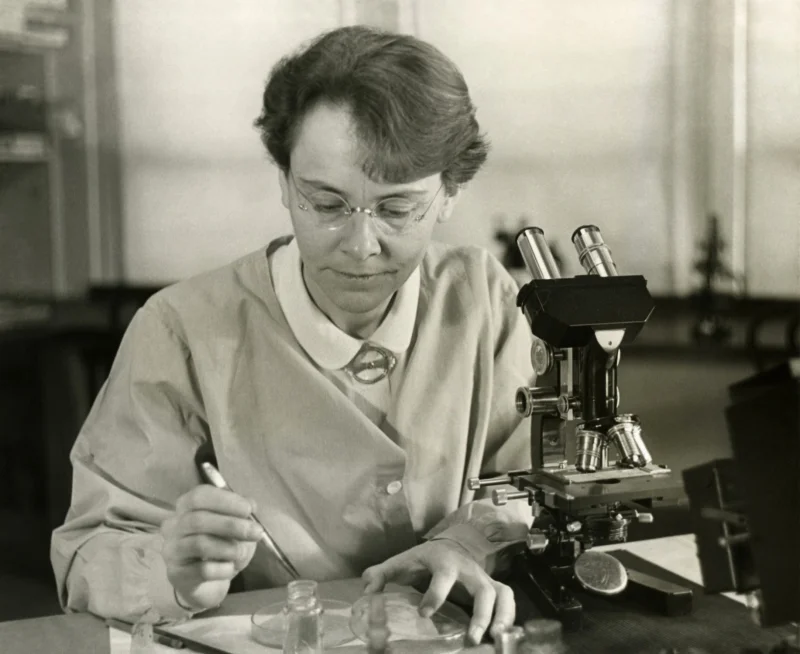 Barbara McClintock — Imagen principal