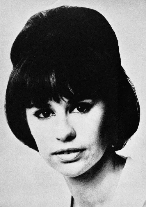 Astrud Gilberto — Imagen principal