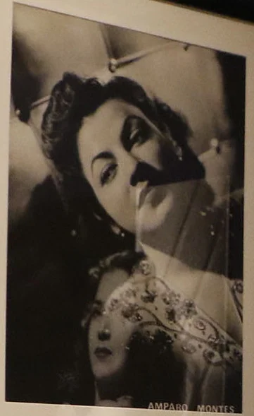 Amparo Montes — Imagen principal