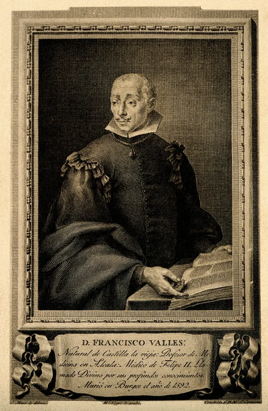 Francisco Vallés — Imagen principal