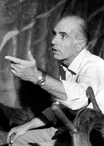 Luigi Comencini — Imagen principal