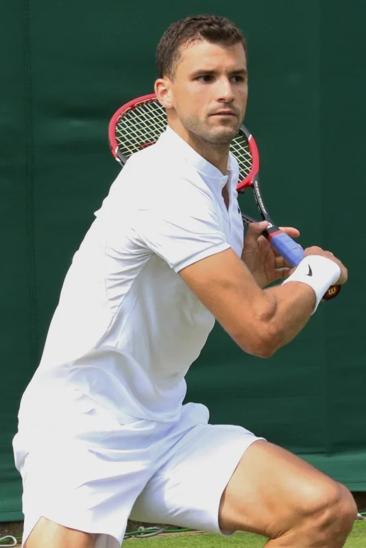 Grigor Dimitrov — Imagen principal